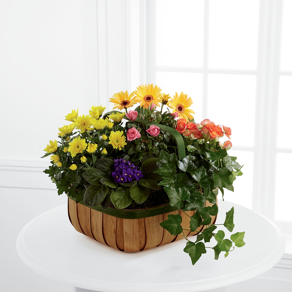Gentle Blossoms Basket – Heavenly Plants, Regina SK