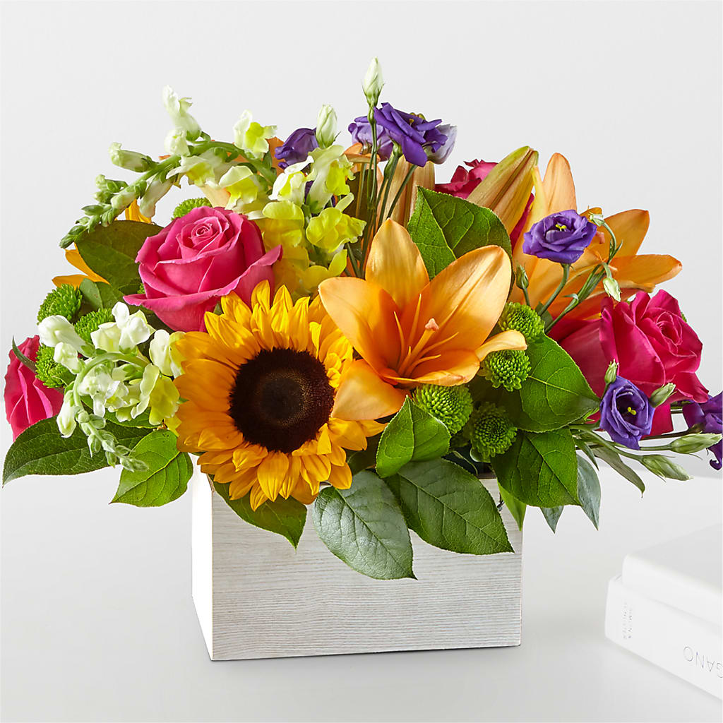 Best Day Box Bouquet – Heavenly Plants, Regina SK