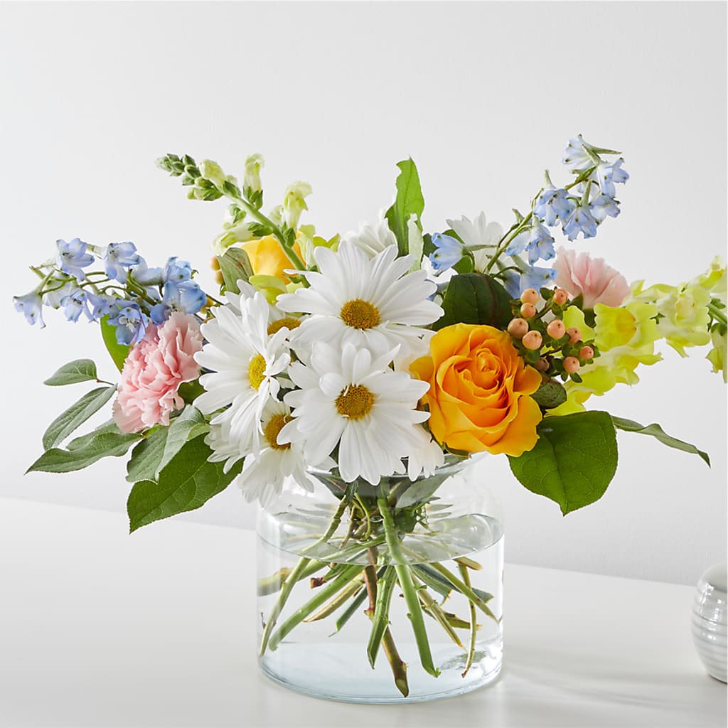 Sun Salutation Bouquet – Heavenly Plants, Regina SK