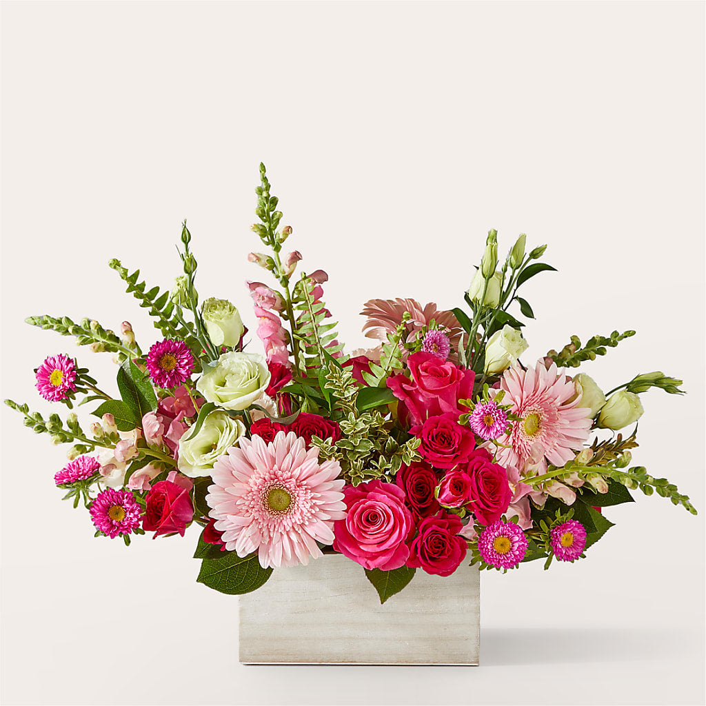Too Cute Bouquet – Heavenly Plants, Regina SK