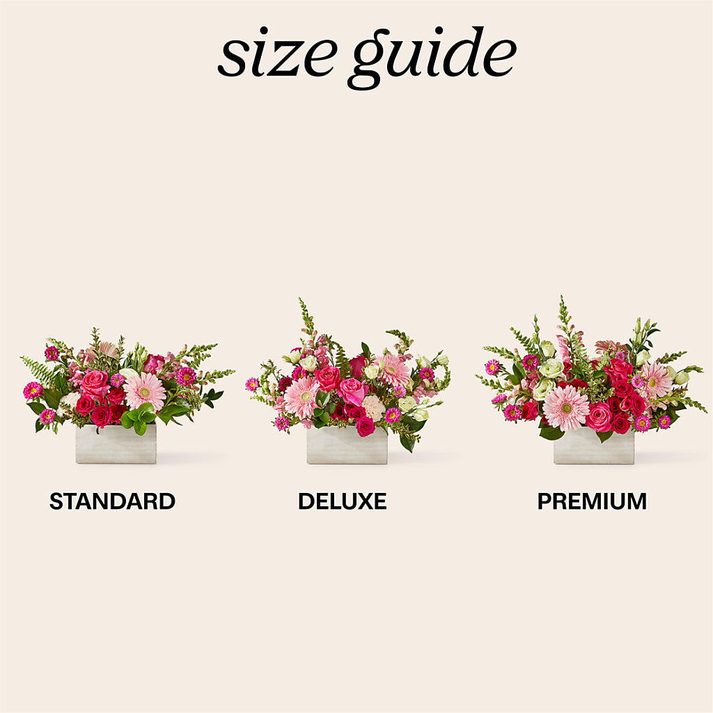 Too Cute Bouquet – Heavenly Plants, Regina SK