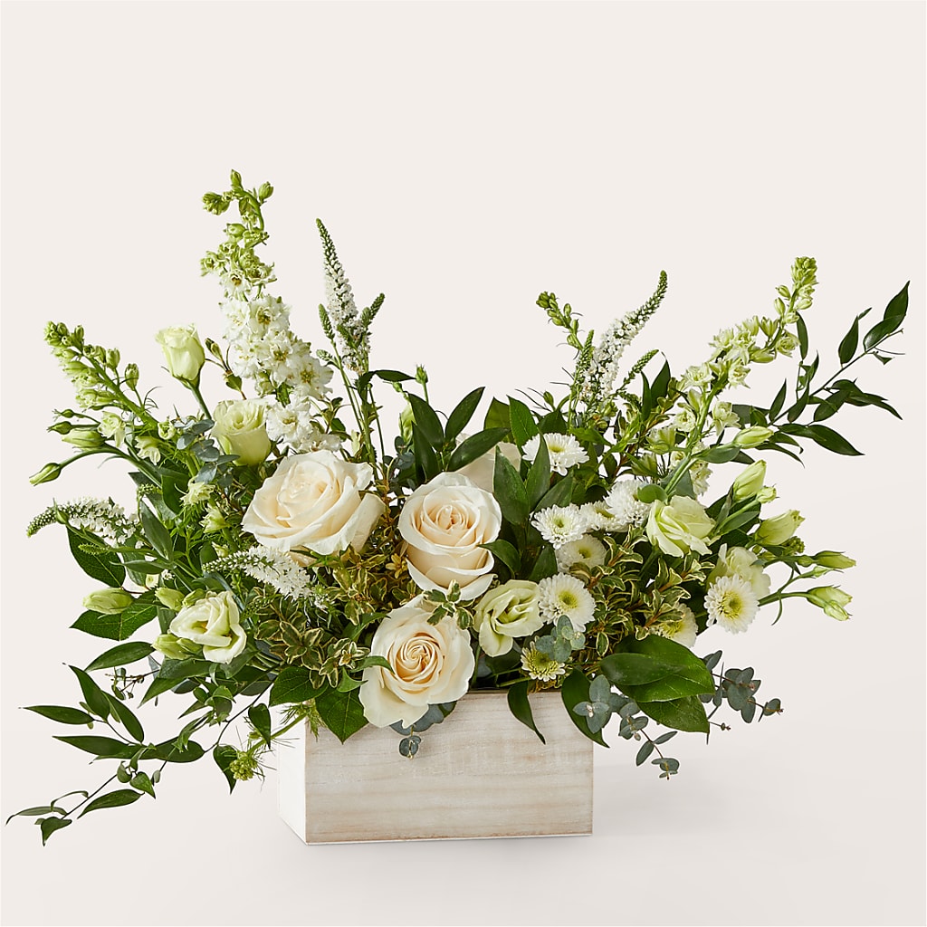 Cashmere Bouquet – Heavenly Plants, Regina SK