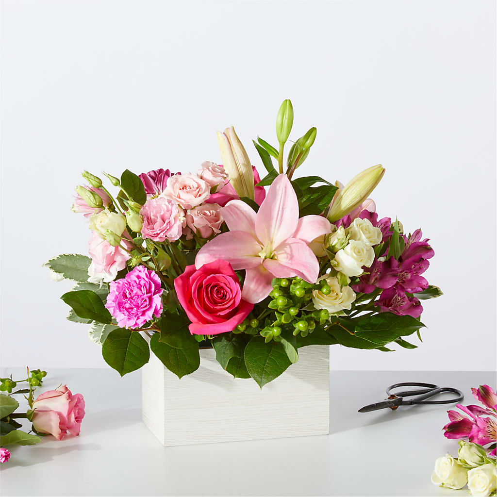 Sweetberry Box – A Florist Original – Heavenly Plants, Regina SK