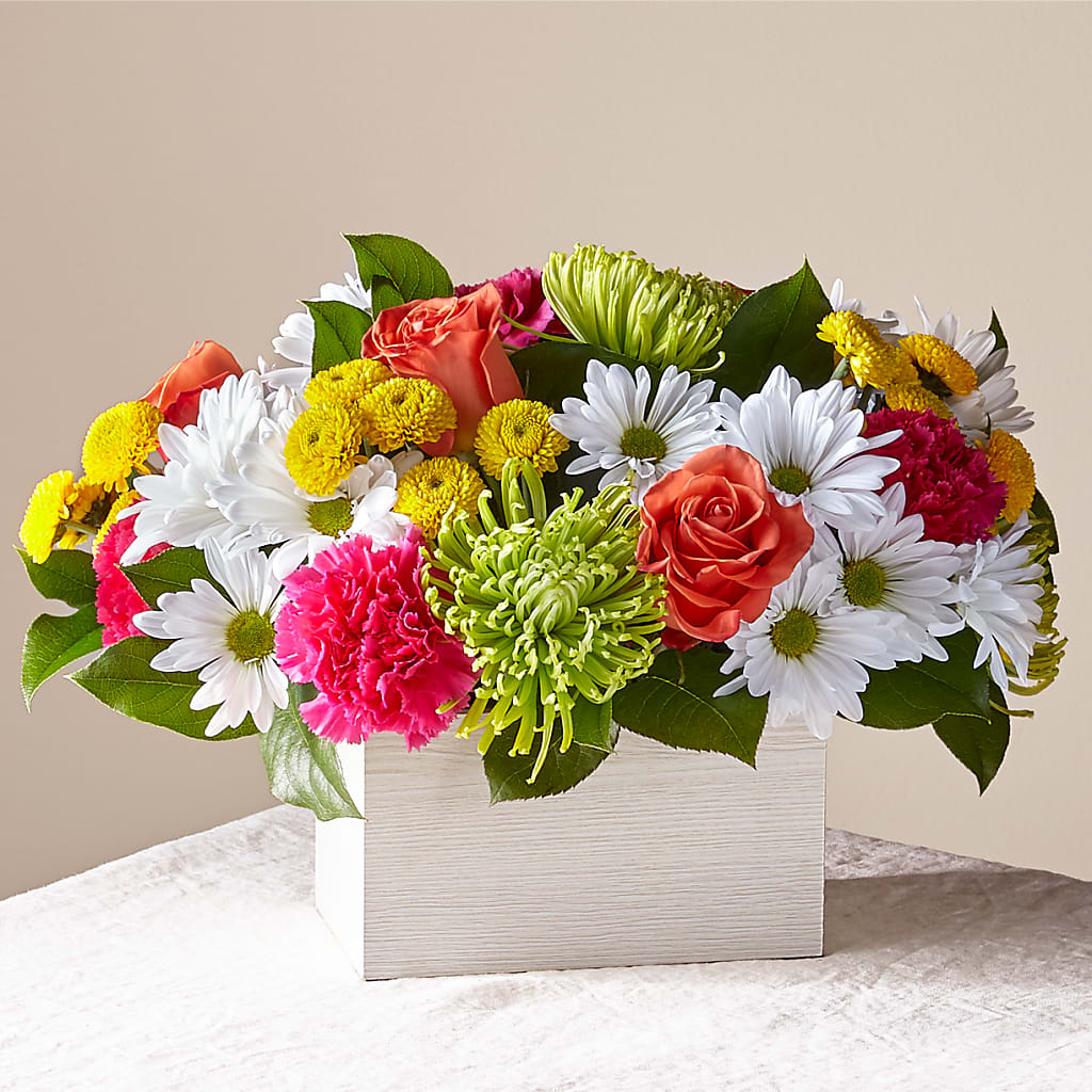 Sorbet Bouquet – Heavenly Plants, Regina SK