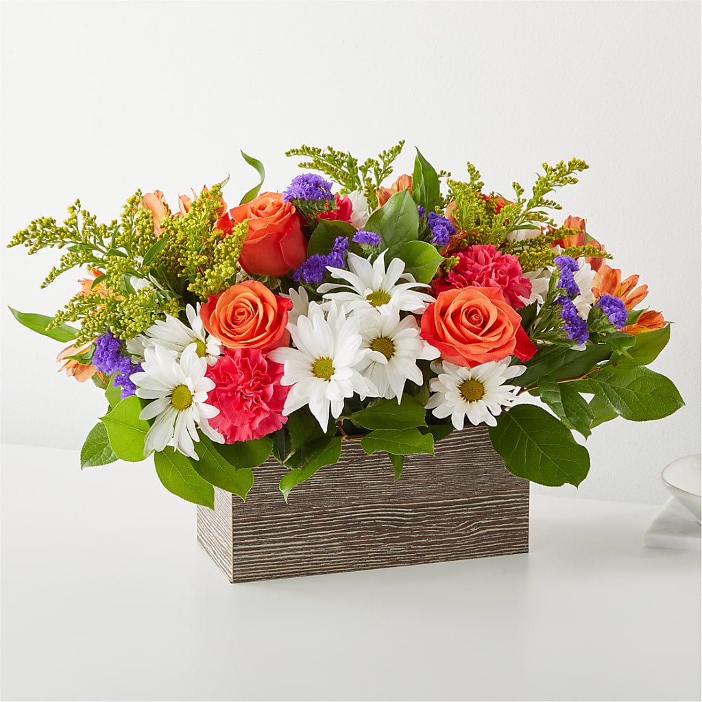 Oopsie Daisy Box Bouquet – Heavenly Plants, Regina SK