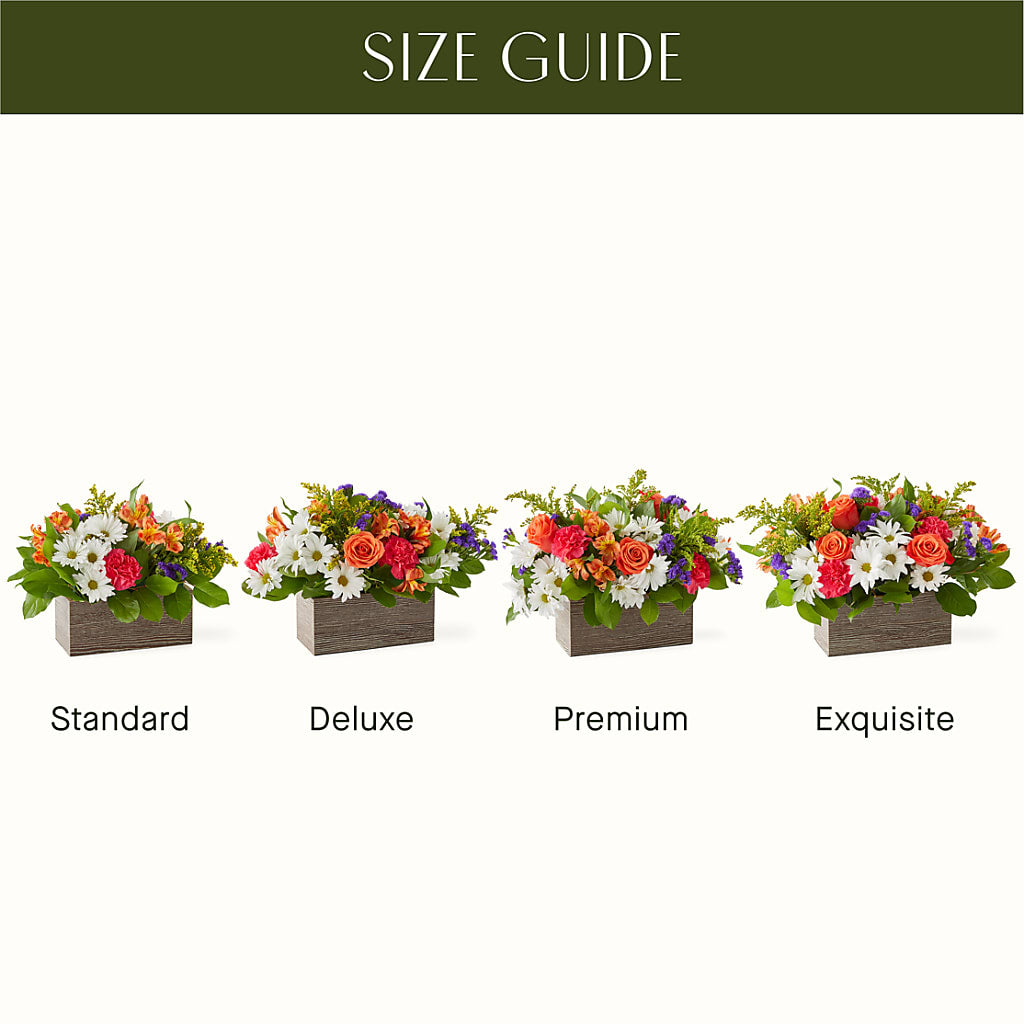 Oopsie Daisy Box Bouquet – Heavenly Plants, Regina SK