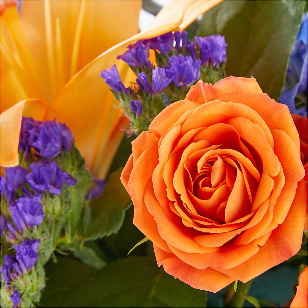 Radiant Citrus Box Bouquet – Heavenly Plants, Regina SK