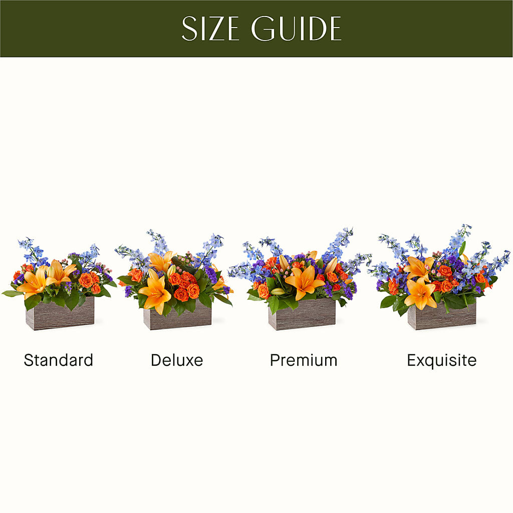 Radiant Citrus Box Bouquet – Heavenly Plants, Regina SK