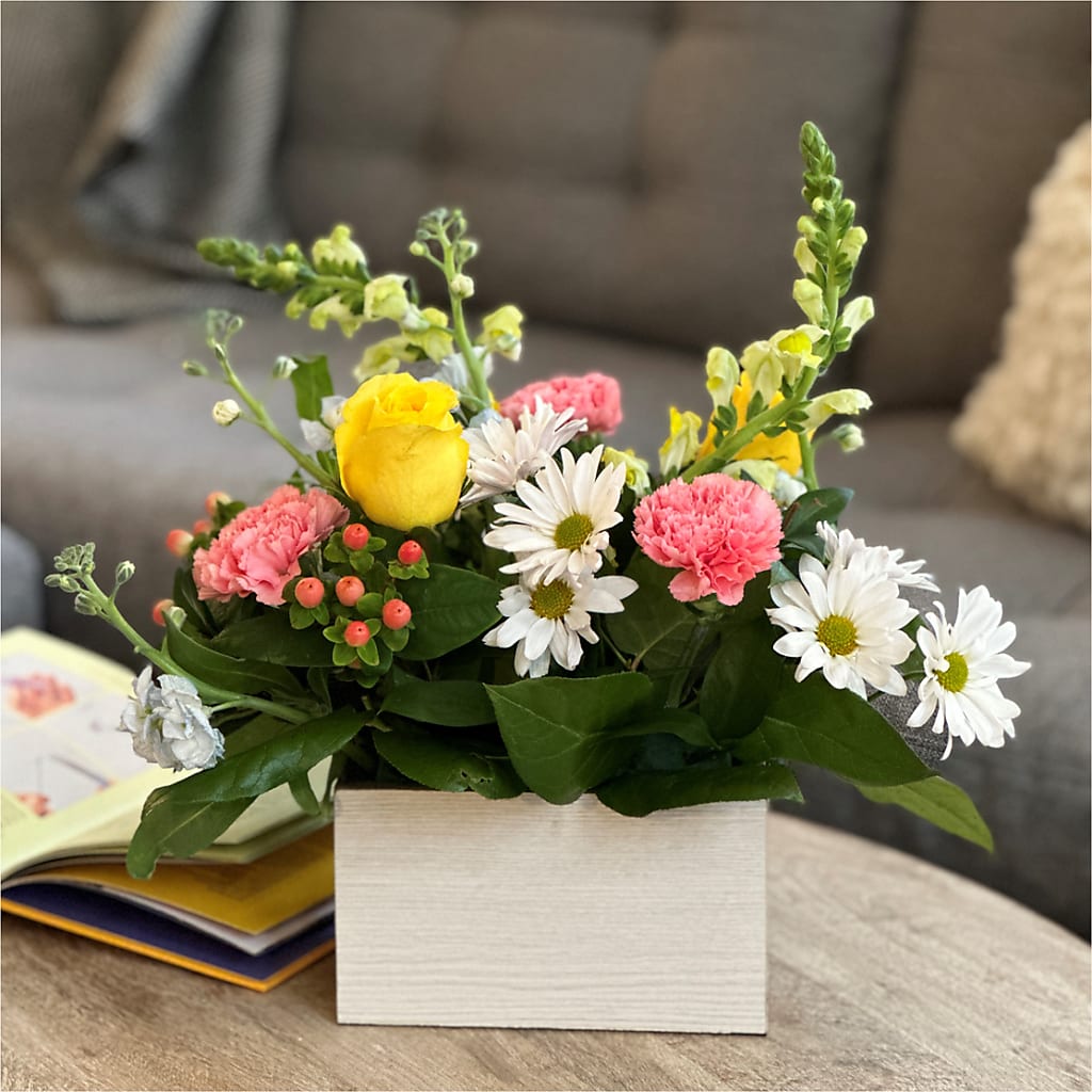 Sun Salutation Box Bouquet – Heavenly Plants, Regina SK