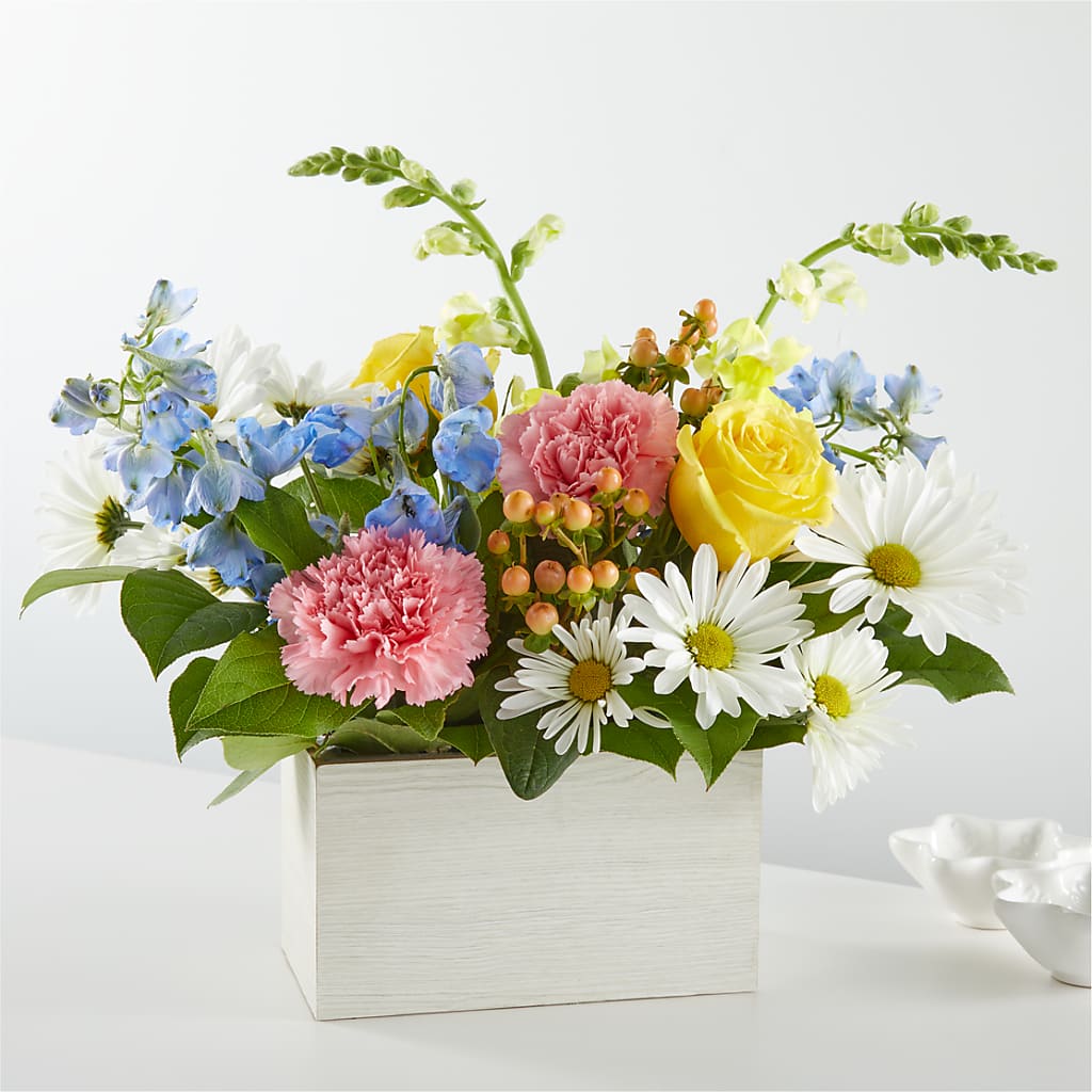 Sun Salutation Box Bouquet – Heavenly Plants, Regina SK
