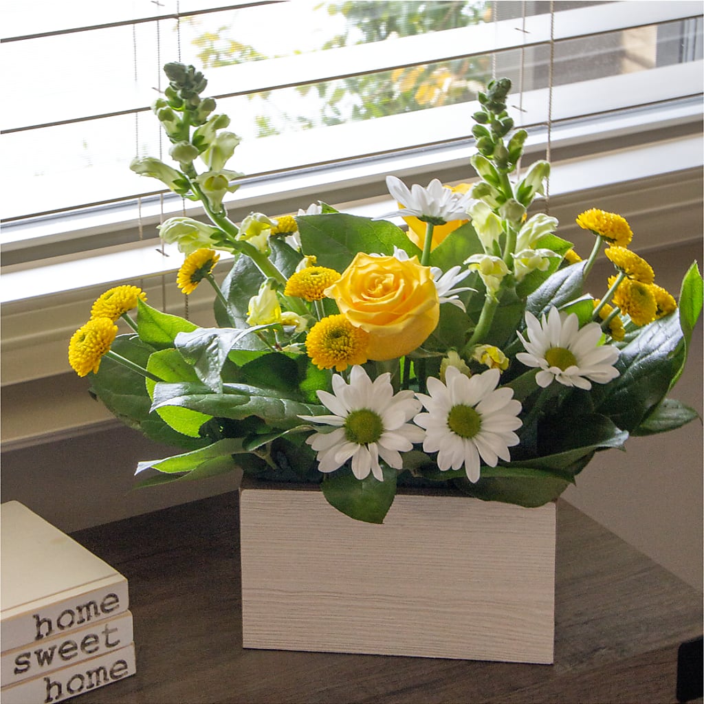 Sun Salutation Box Bouquet – Heavenly Plants, Regina SK
