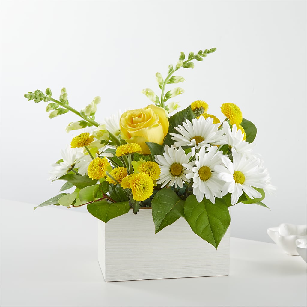 Sun Salutation Box Bouquet – Heavenly Plants, Regina SK