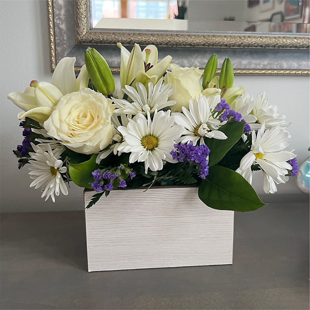 Beyond Blue Box Bouquet – Heavenly Plants, Regina SK
