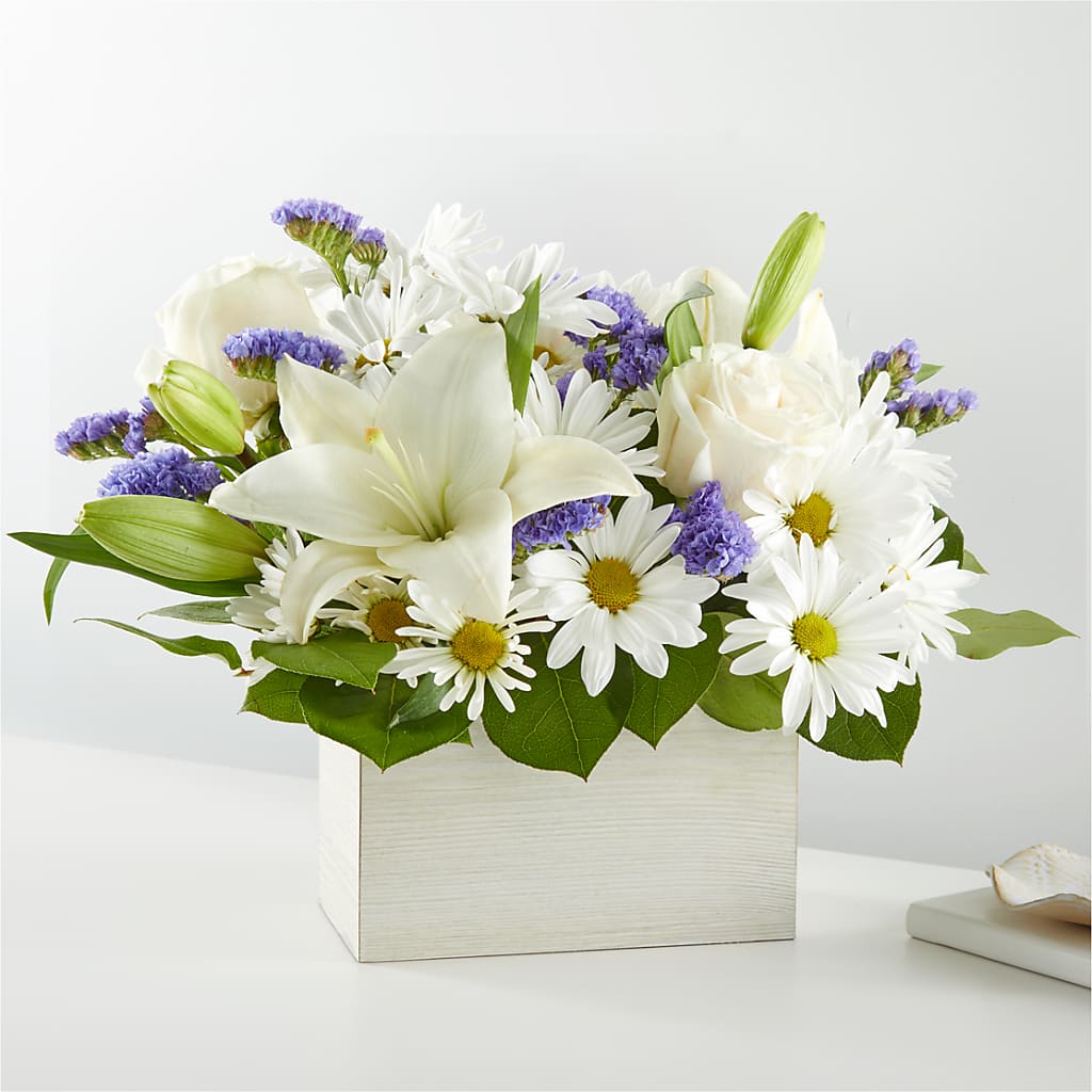 Beyond Blue Box Bouquet – Heavenly Plants, Regina SK