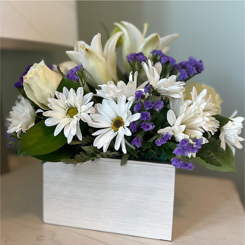Beyond Blue Box Bouquet – Heavenly Plants, Regina SK