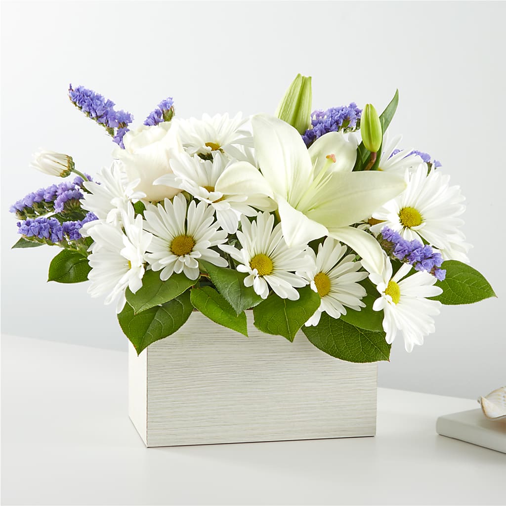Beyond Blue Box Bouquet – Heavenly Plants, Regina SK