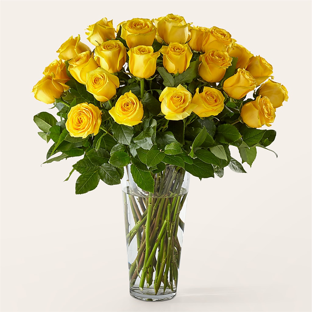 Long Stem Yellow Rose Bouquet – Heavenly Plants, Regina SK