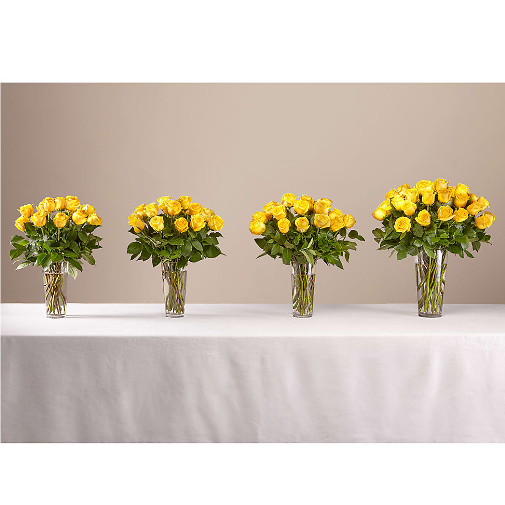 Long Stem Yellow Rose Bouquet – Heavenly Plants, Regina SK