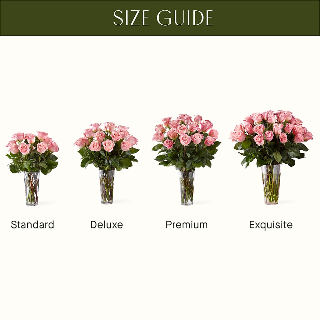 Long Stem Pink Rose Bouquet – Heavenly Plants, Regina SK