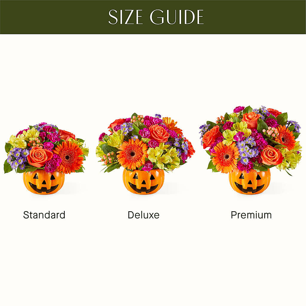 Tricks & Treats Pumpkin – Heavenly Plants, Regina SK