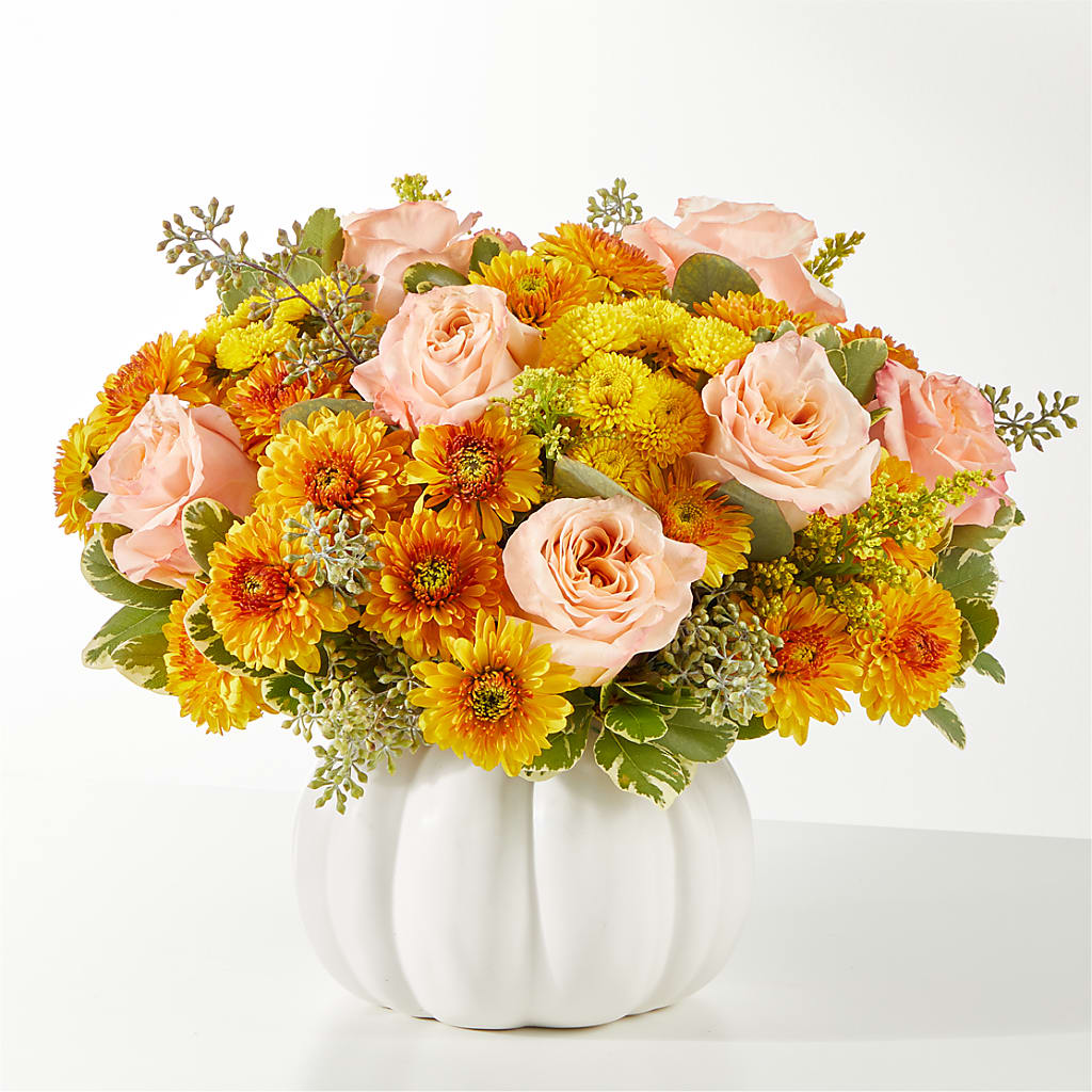 Peachy Pumpkin – Heavenly Plants, Regina SK