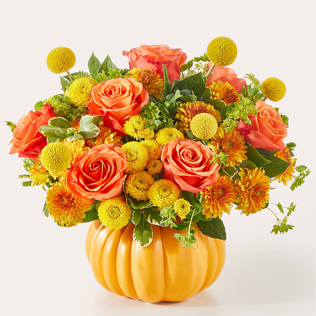 Gourdgeous Pumpkin – Heavenly Plants, Regina SK