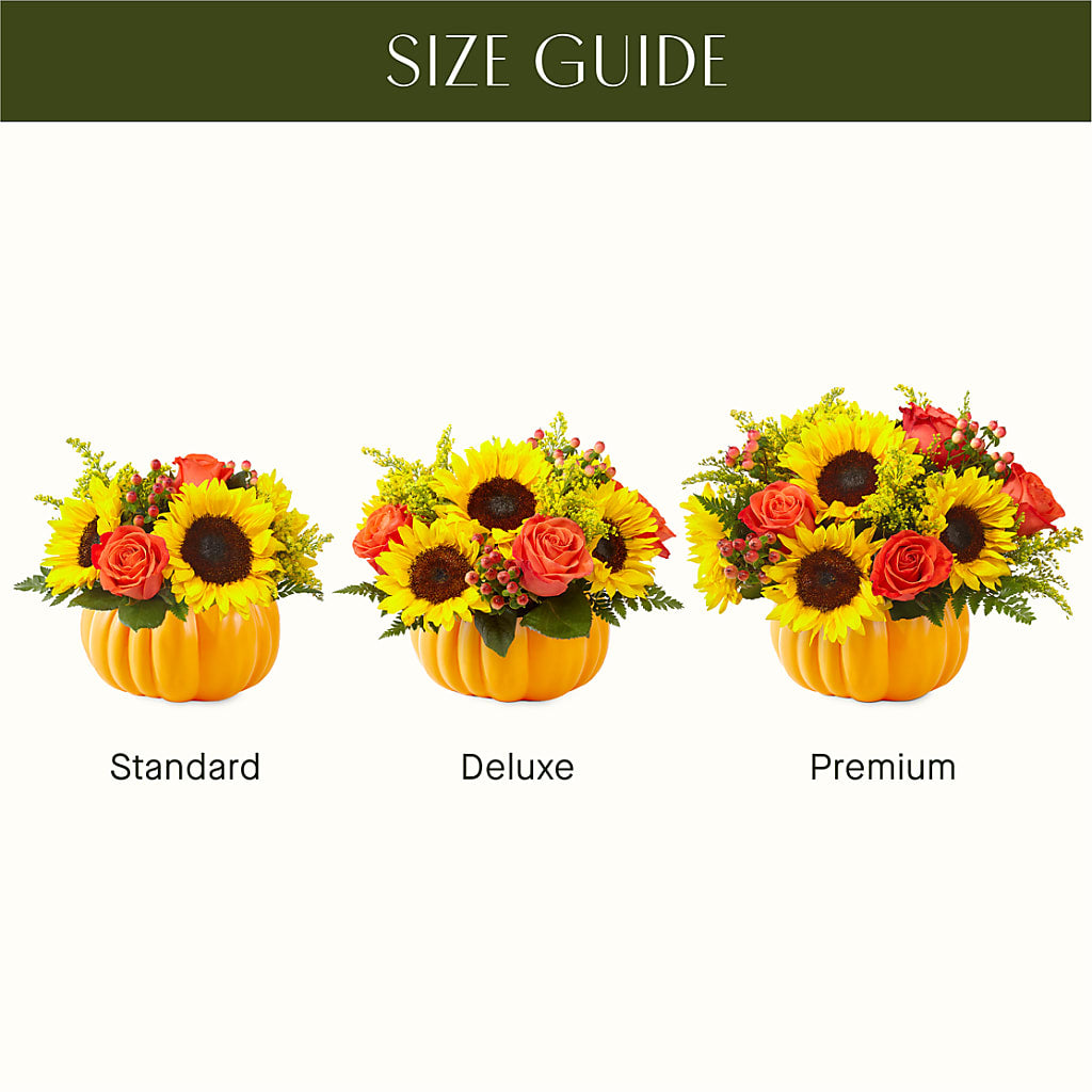 Pick of the Patch Pumpkin Bouquet – Heavenly Plants, Regina SK