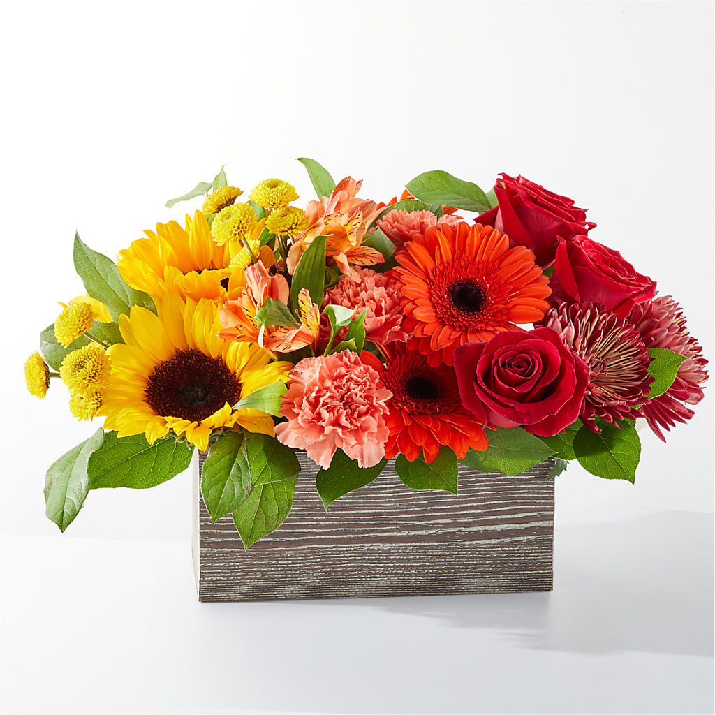 Autumn Orchard Bouquet – Heavenly Plants, Regina SK