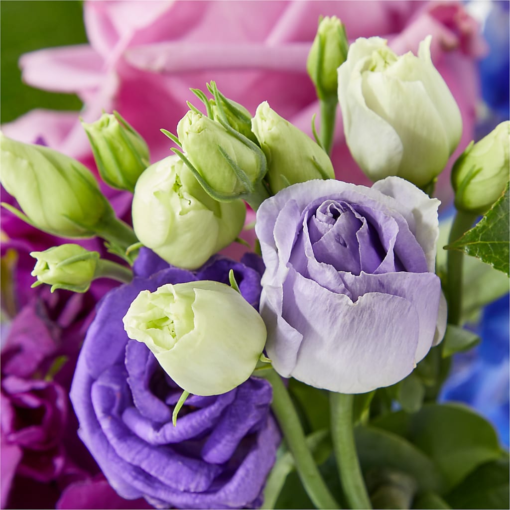 Twilight Glow Bouquet – Heavenly Plants, Regina SK
