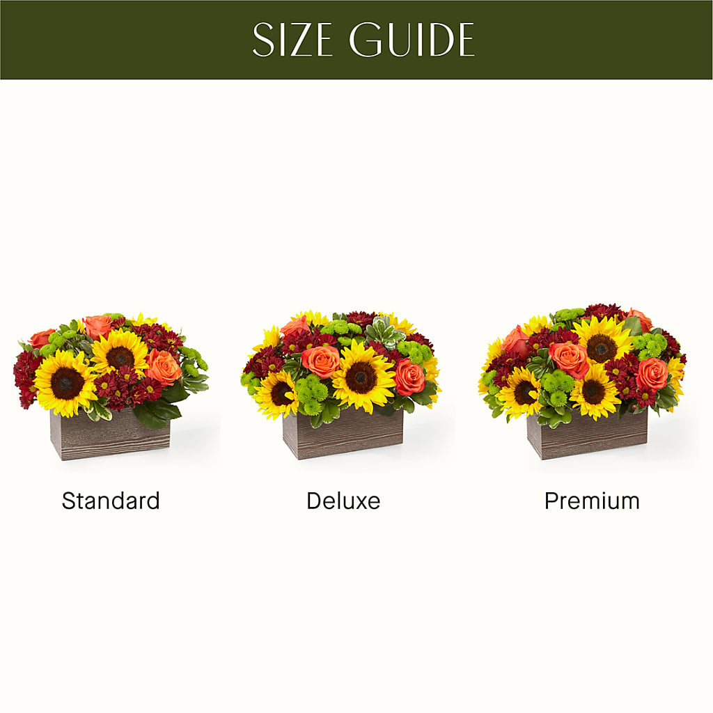 Happy Harvest Garden – Heavenly Plants, Regina SK