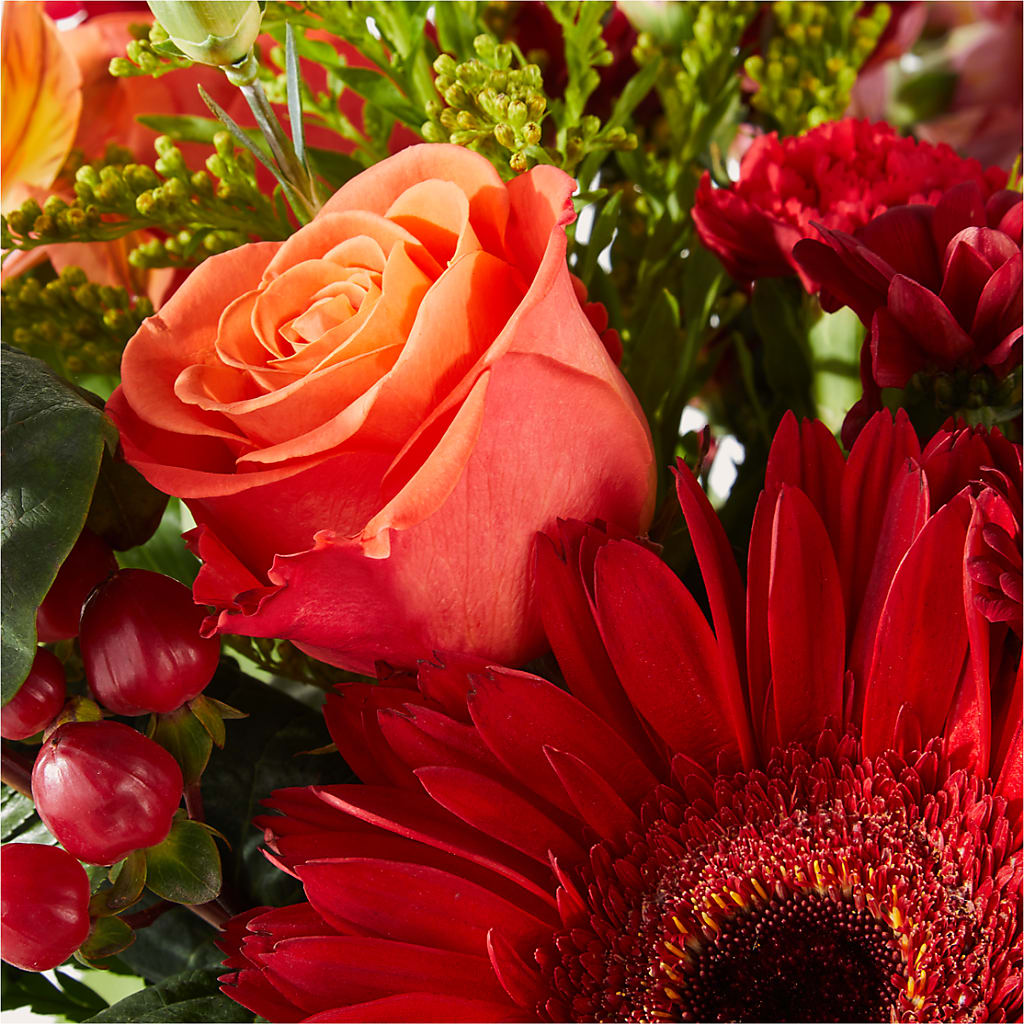 Sweater Season - A Florist Original – Heavenly Plants, Regina SK