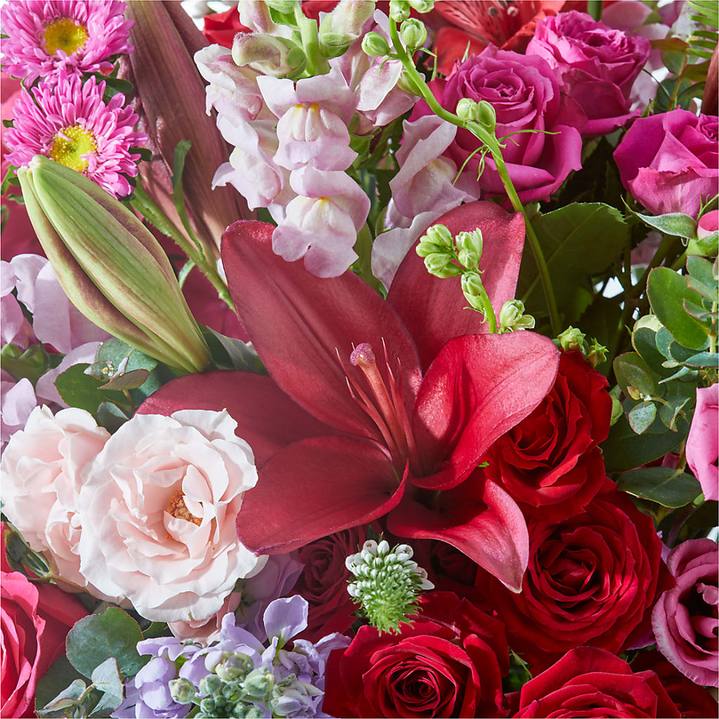 Better Together - A Luxury Florist Original – Heavenly Plants, Regina SK