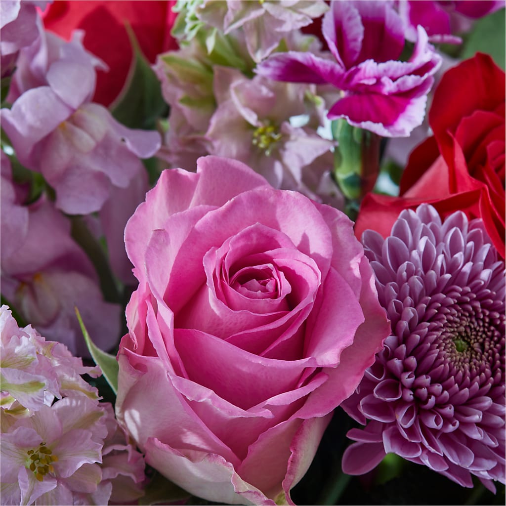 Better Together - A Luxury Florist Original – Heavenly Plants, Regina SK