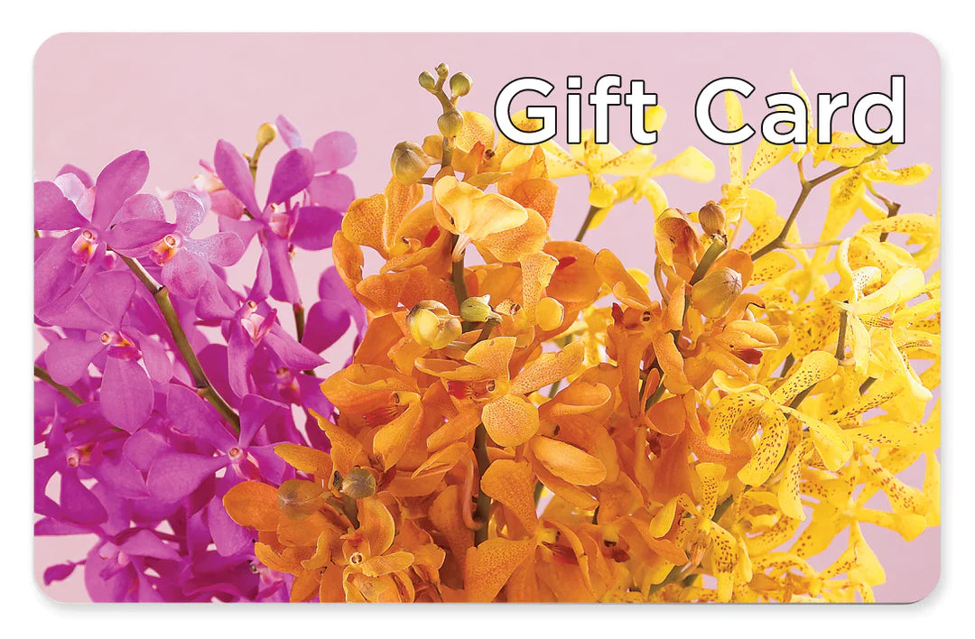 Gift Card – Heavenly Plants, Regina SK