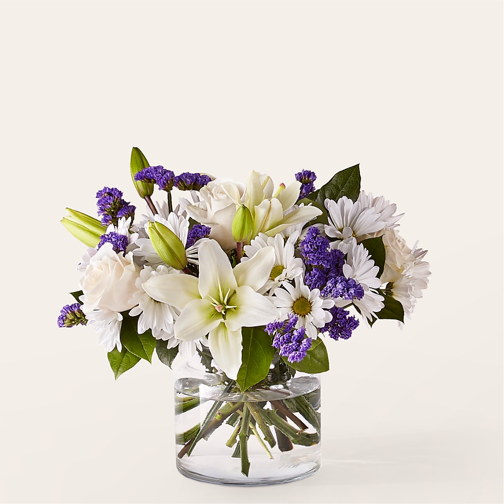 Beyond Blue Bouquet – Heavenly Plants, Regina SK