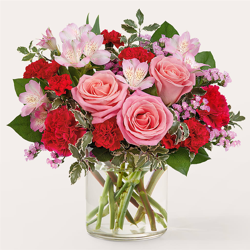 First Impressions Bouquet – Heavenly Plants, Regina SK