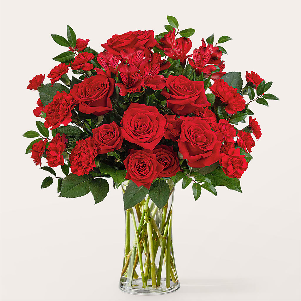 Brilliant Ruby Bouquet – Heavenly Plants, Regina SK