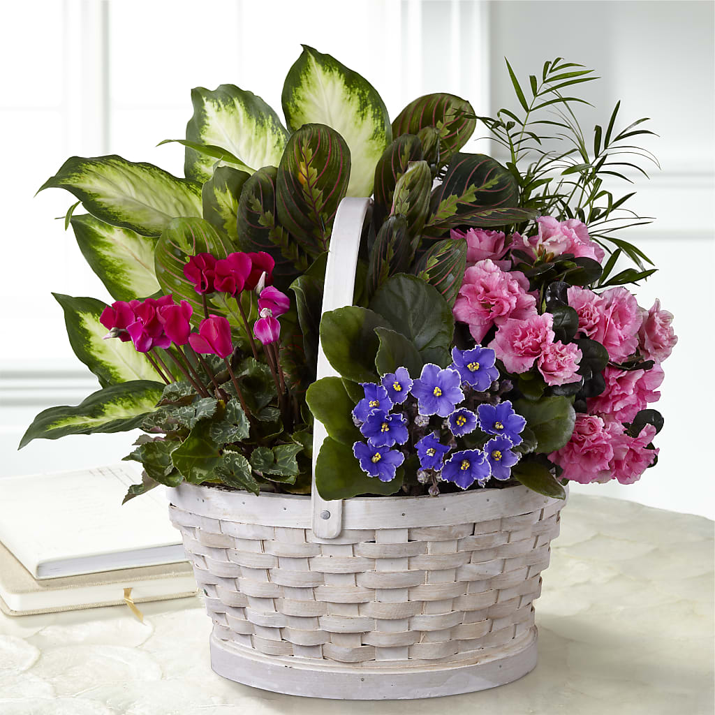 Peaceful Garden Planter – Heavenly Plants, Regina SK
