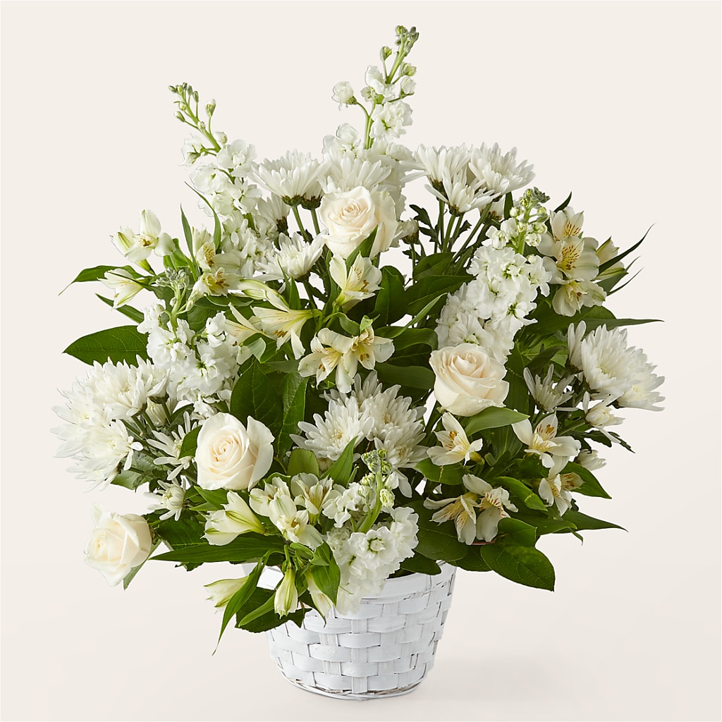 Eternal Affection Arrangement – Heavenly Plants, Regina SK