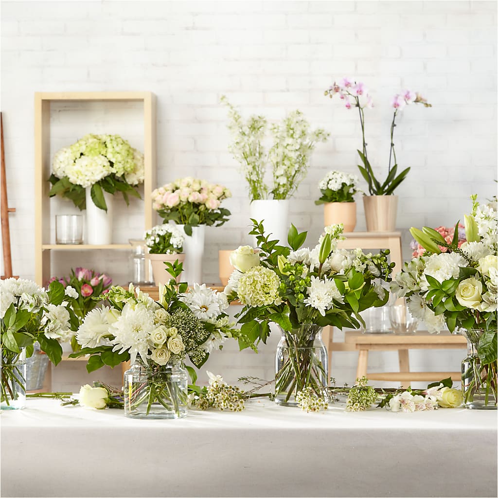 Classic Ivory – A Florist Original – Heavenly Plants, Regina SK