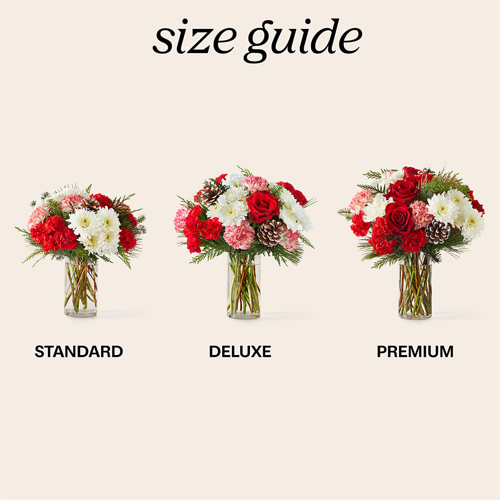 Candy Cane Lane Bouquet – Heavenly Plants, Regina SK