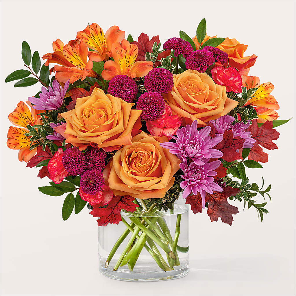 Terracotta Treasures Bouquet – Heavenly Plants, Regina SK