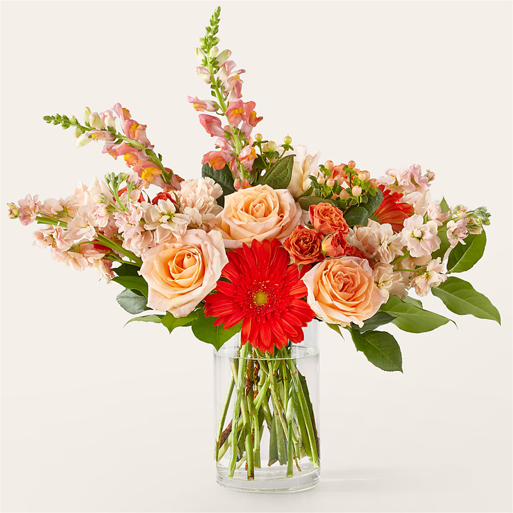 Paloma Please Bouquet – Heavenly Plants, Regina SK
