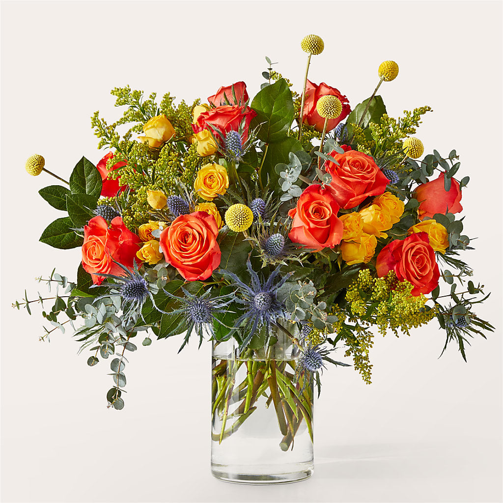 Disco Bouquet – Heavenly Plants, Regina SK