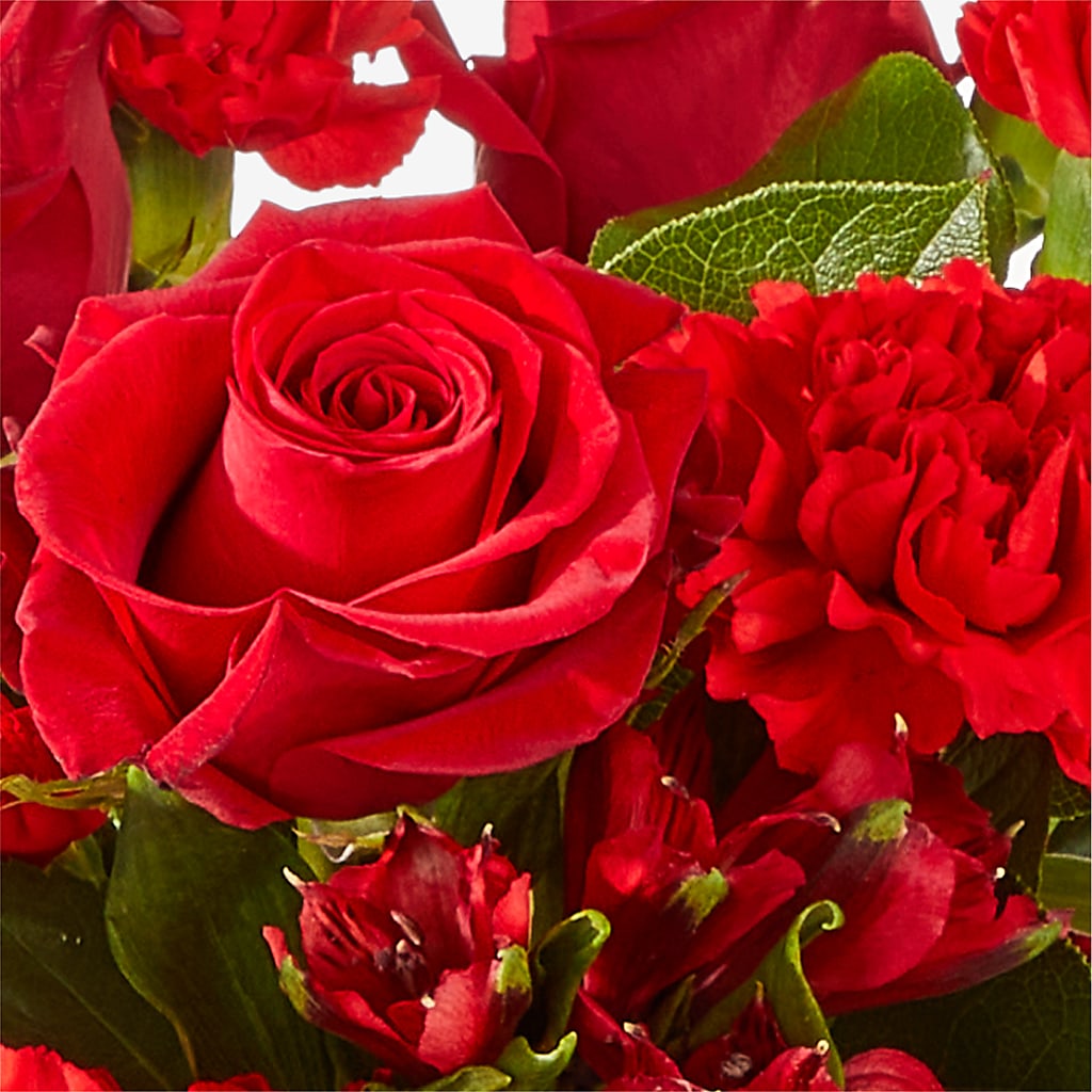The Heartstrings Bouquet – Heavenly Plants, Regina SK