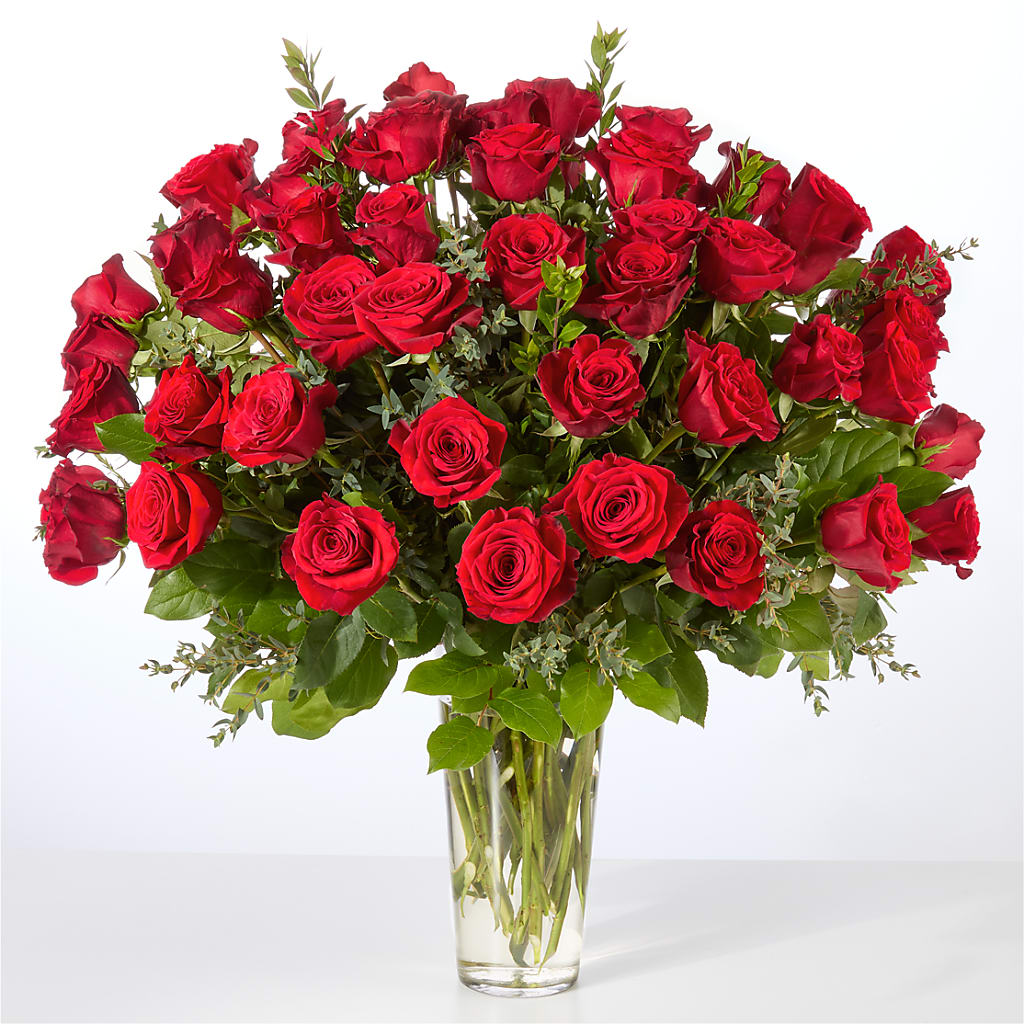 Forever Yours Fifty Stem Red Rose Bouquet – Heavenly Plants, Regina SK