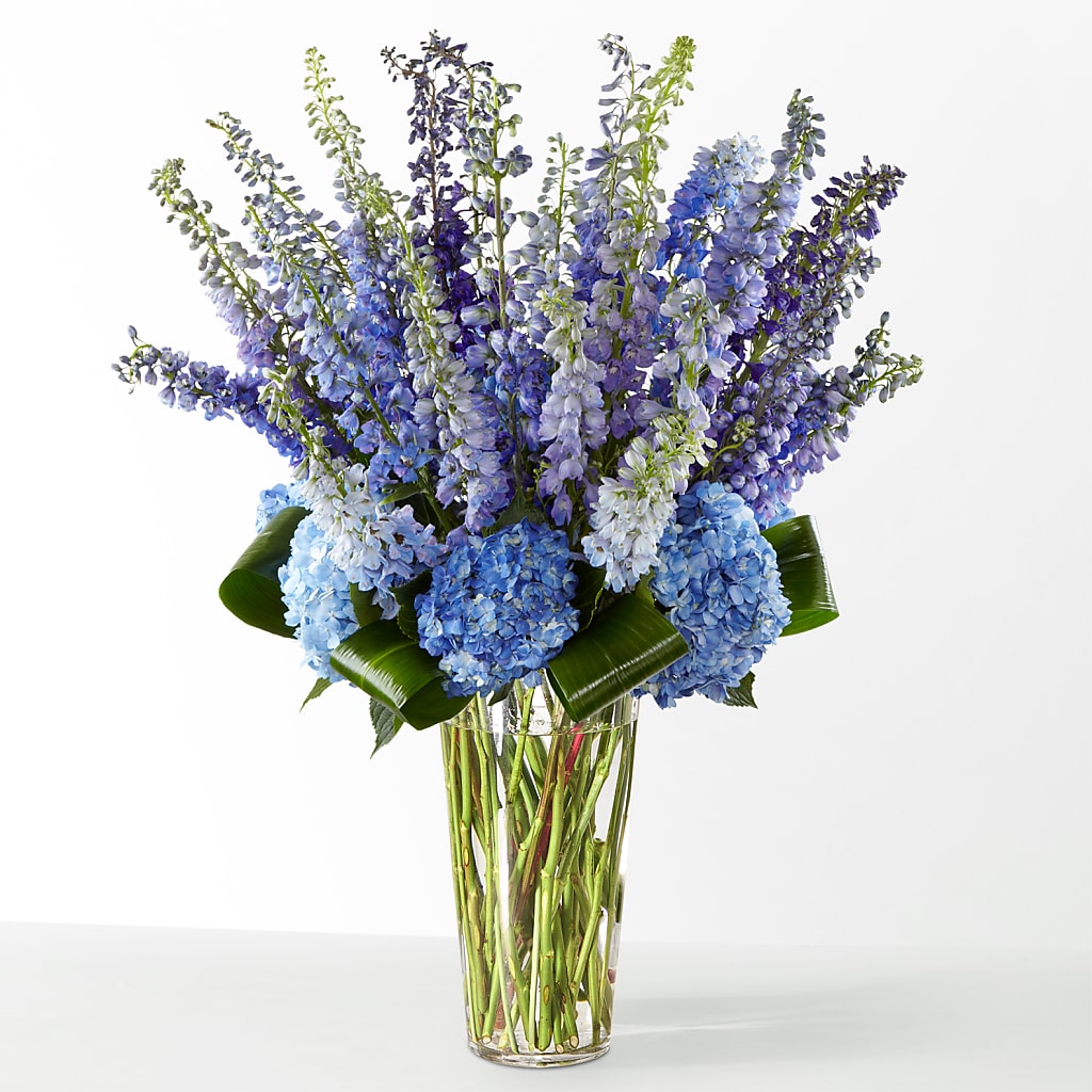 The Editorial – Heavenly Plants, Regina SK