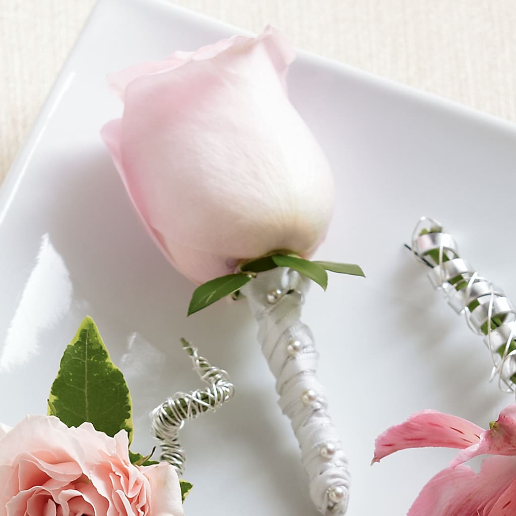Pink Rose Boutonniere – Heavenly Plants, Regina SK
