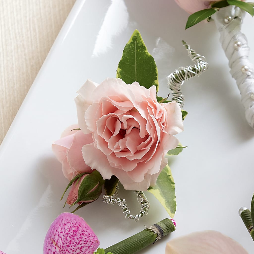 Pink Spray Rose Boutonniere – Heavenly Plants, Regina SK