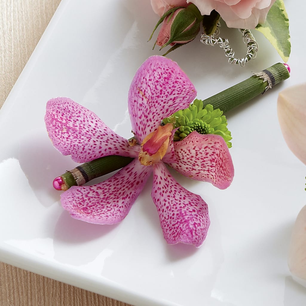 Pink Mokara Boutonniere – Heavenly Plants, Regina SK